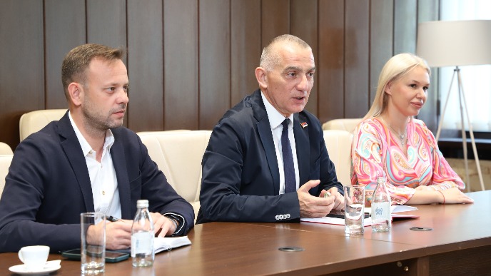 Vujić osudio napade